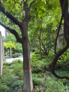 环境